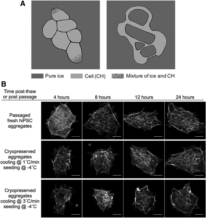 FIG. 6.