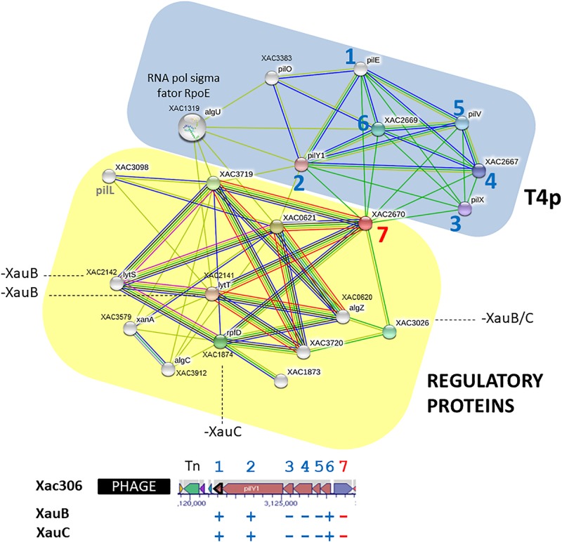 FIGURE 4