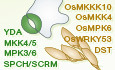 graphic file with name EMBR-23-e53817-g001.jpg