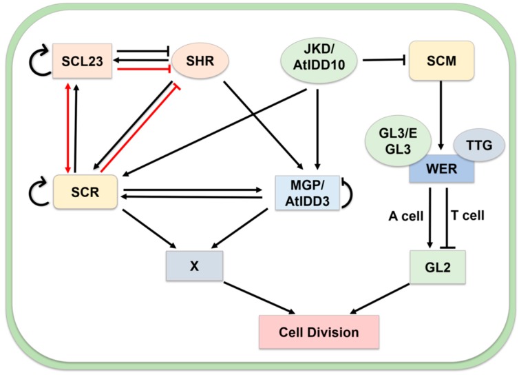 Figure 6