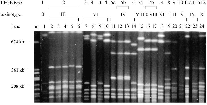 FIG. 5