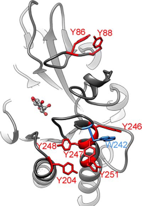 FIGURE 6.