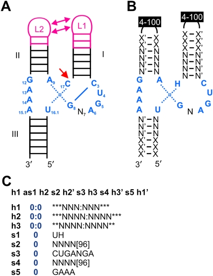 FIGURE 1.