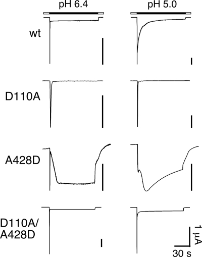 FIGURE 8.