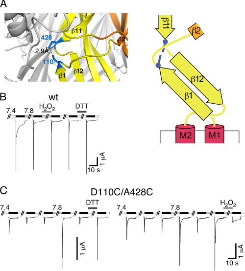 FIGURE 9.