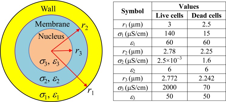 Figure 8