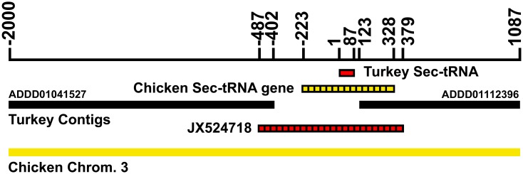 Fig 2