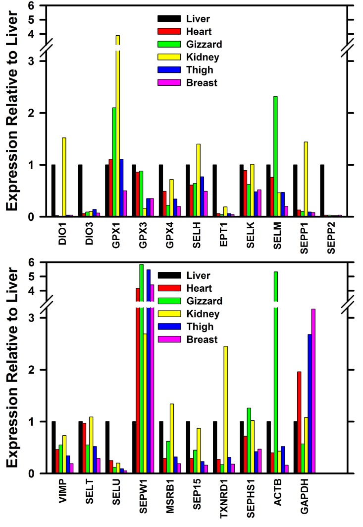 Fig 4