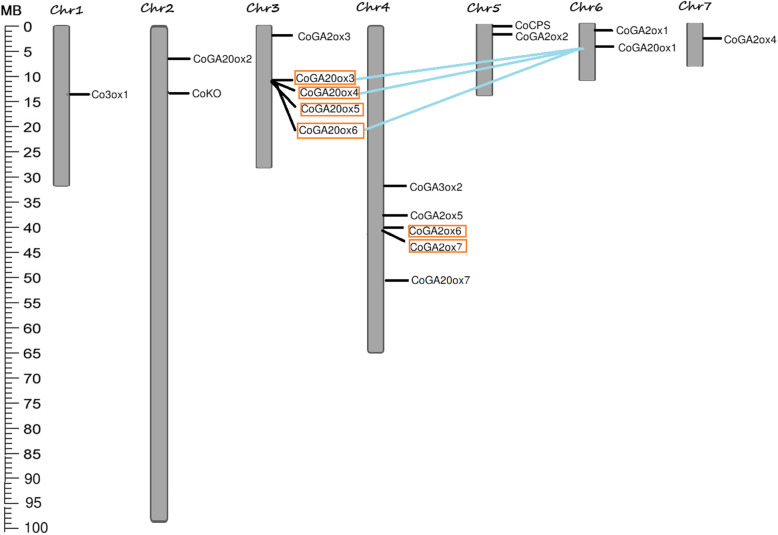 Fig. 6