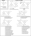 <sc>Fig</sc>. 1.