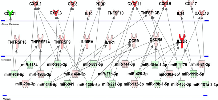 Figure 4