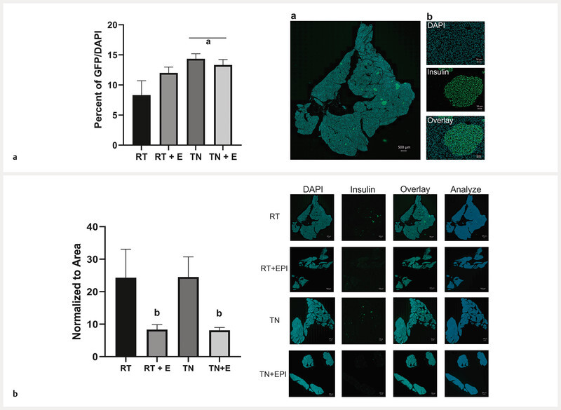 Fig. 4