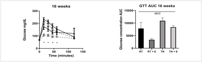 Fig. 1