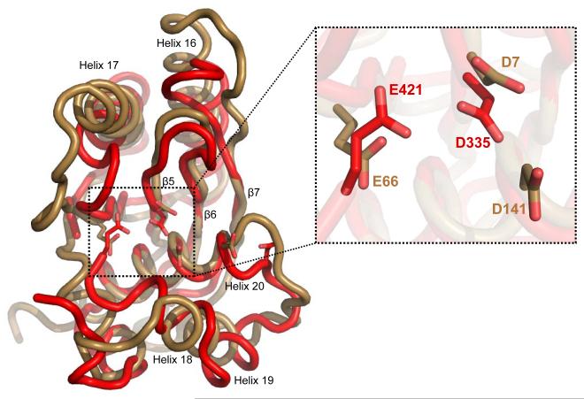 Figure 8