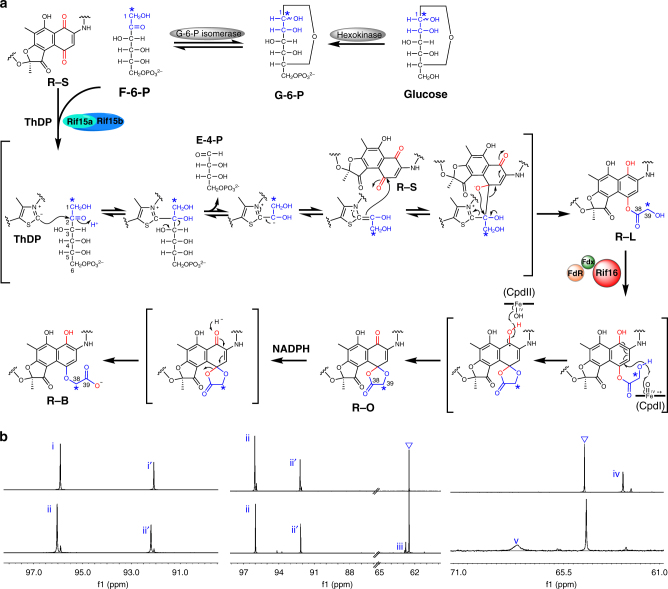 Fig. 3