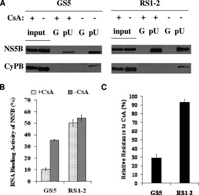 FIG. 7.