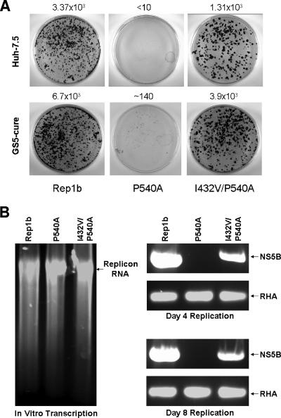 FIG. 5.