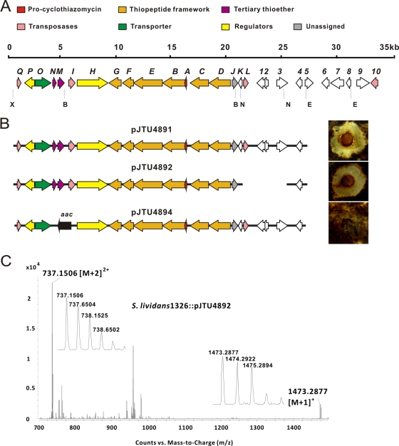 FIG. 2.