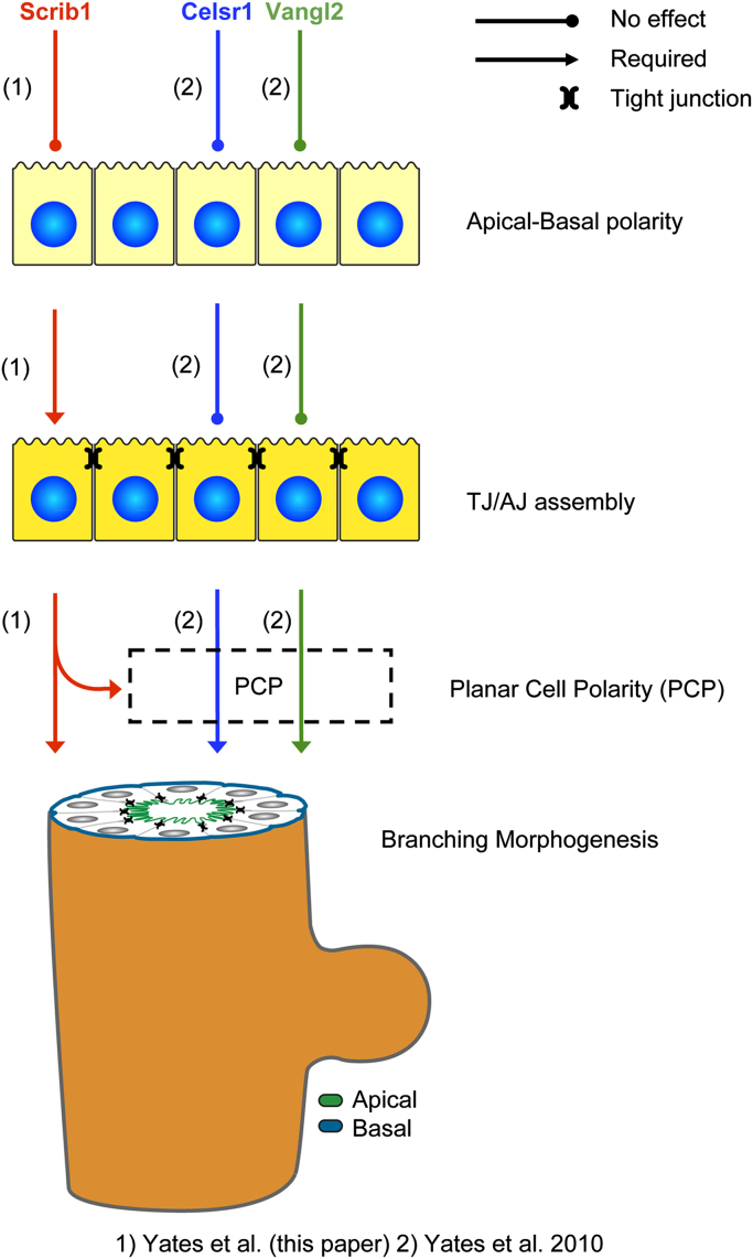 Fig. 9