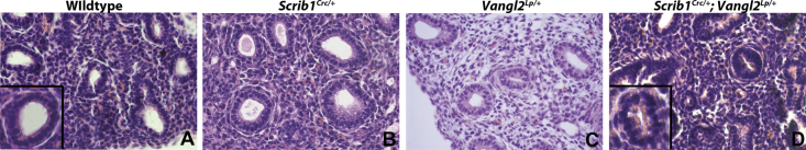 Fig. S4