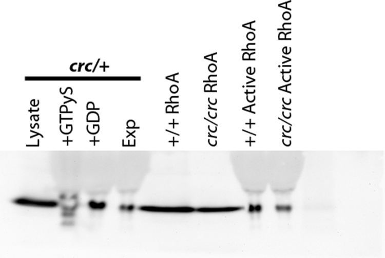 Fig. S6