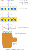 Fig. 9