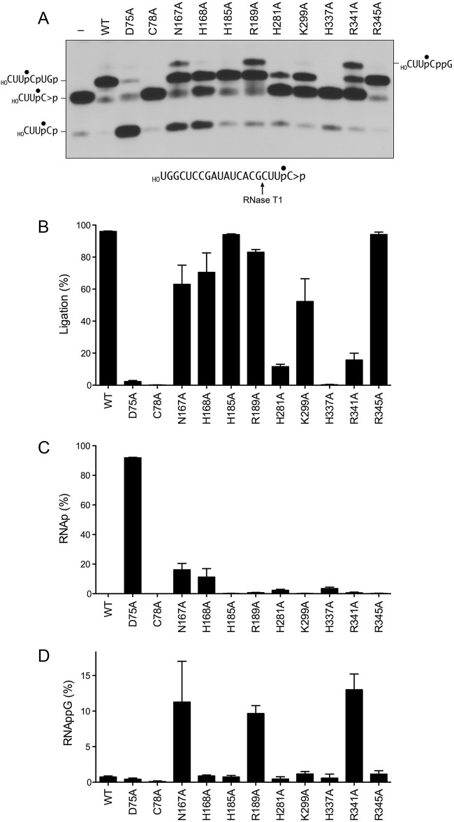 FIG 7