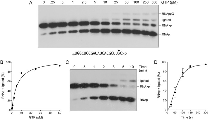 FIG 9