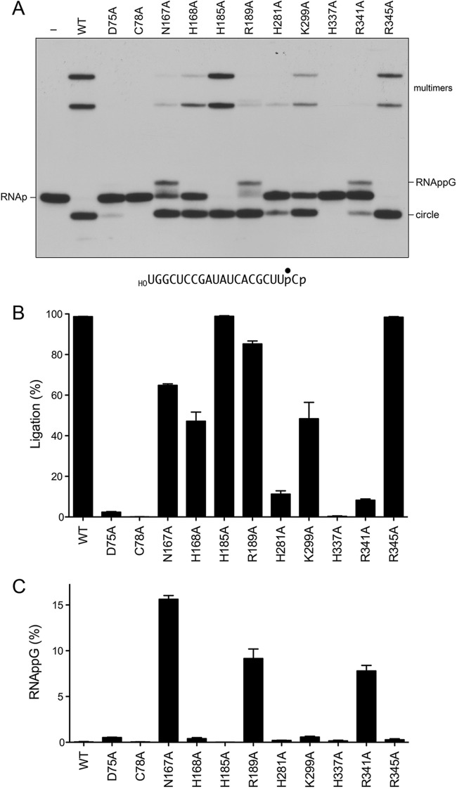 FIG 4