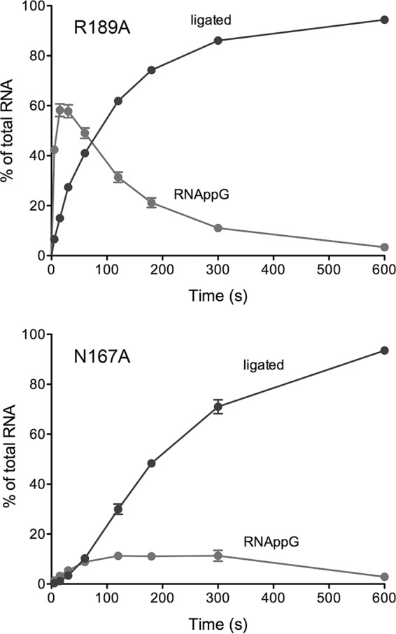 FIG 6