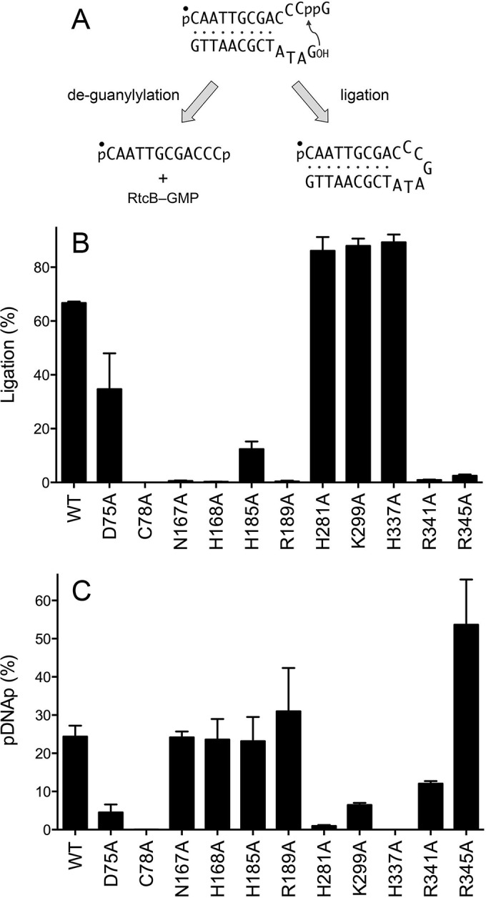 FIG 11