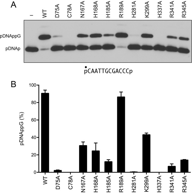 FIG 10