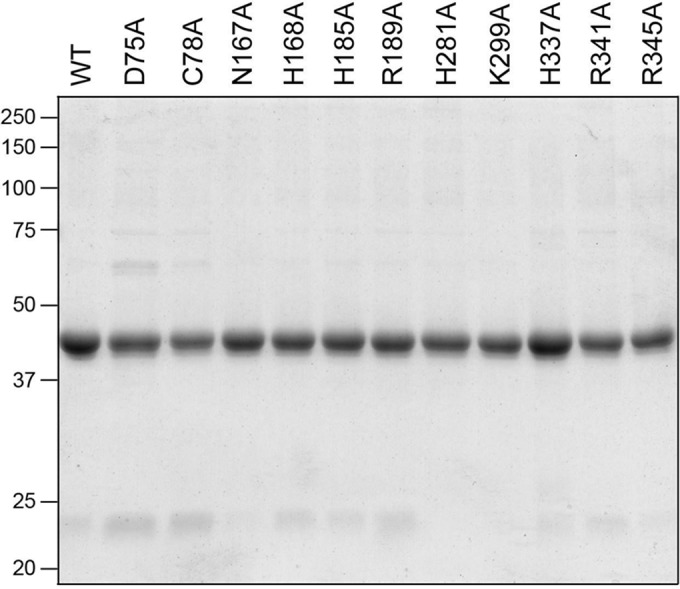 FIG 3