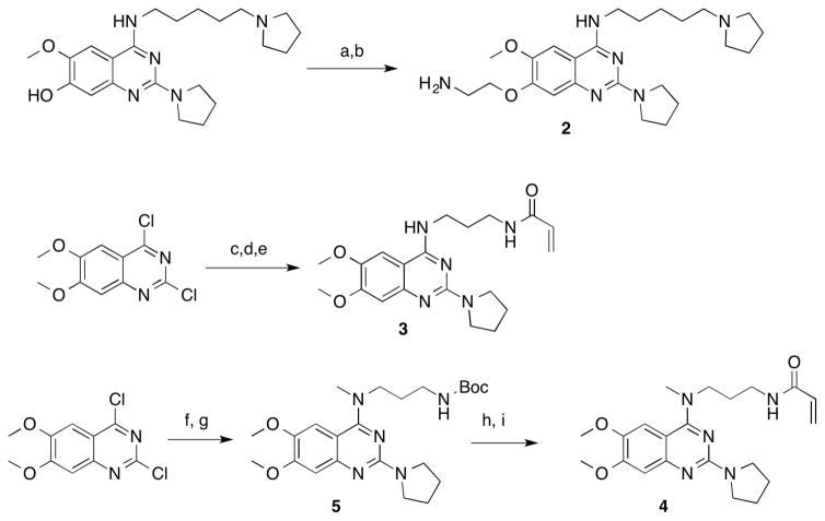 Scheme 1