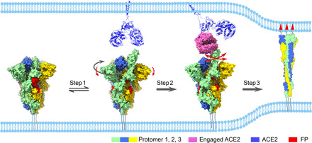 Fig. 6