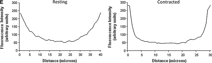 FIG. 7.