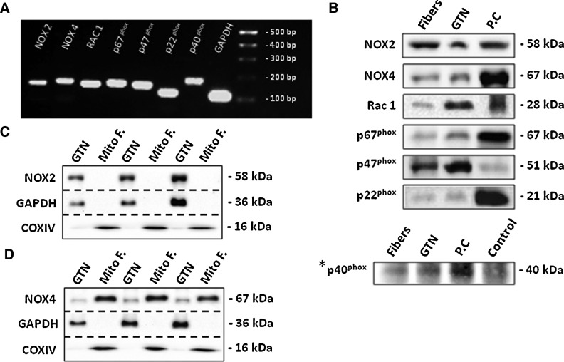 FIG. 6.