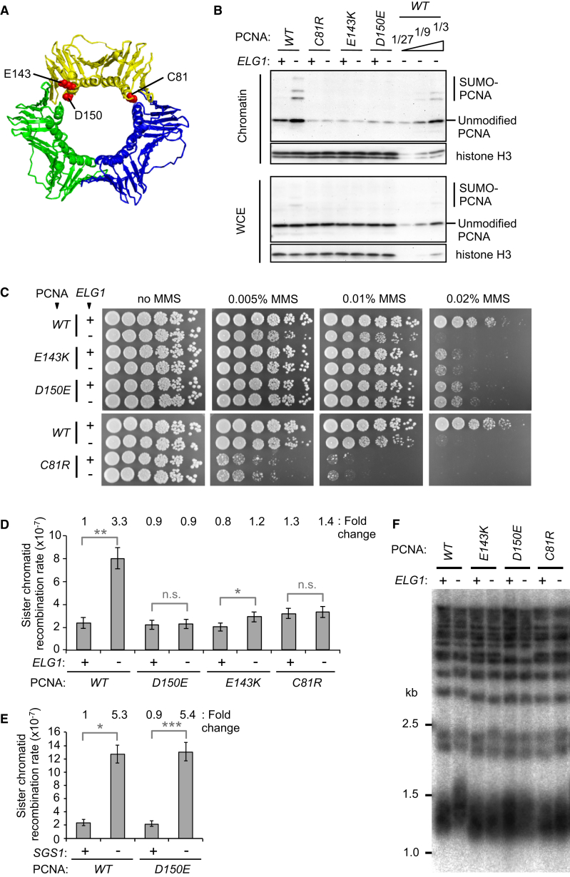 Figure 3