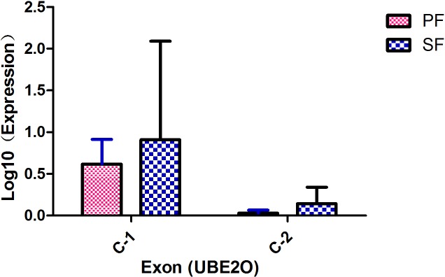 Fig 5