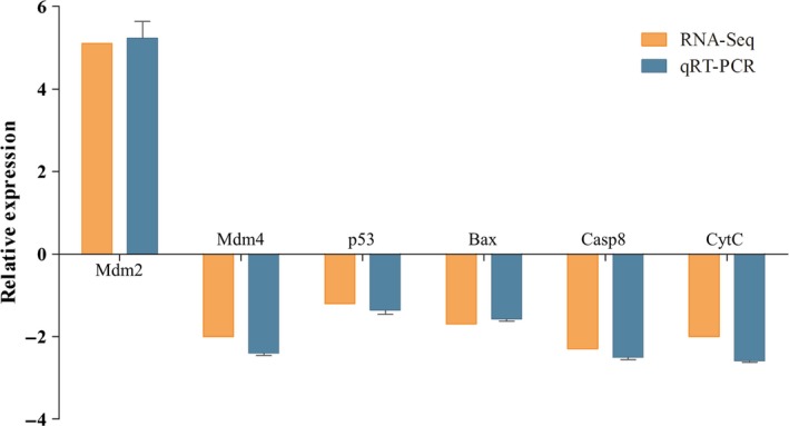 Figure 4