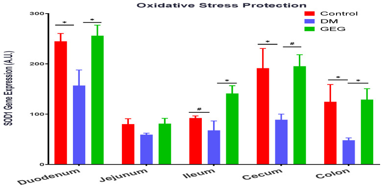 Figure 13