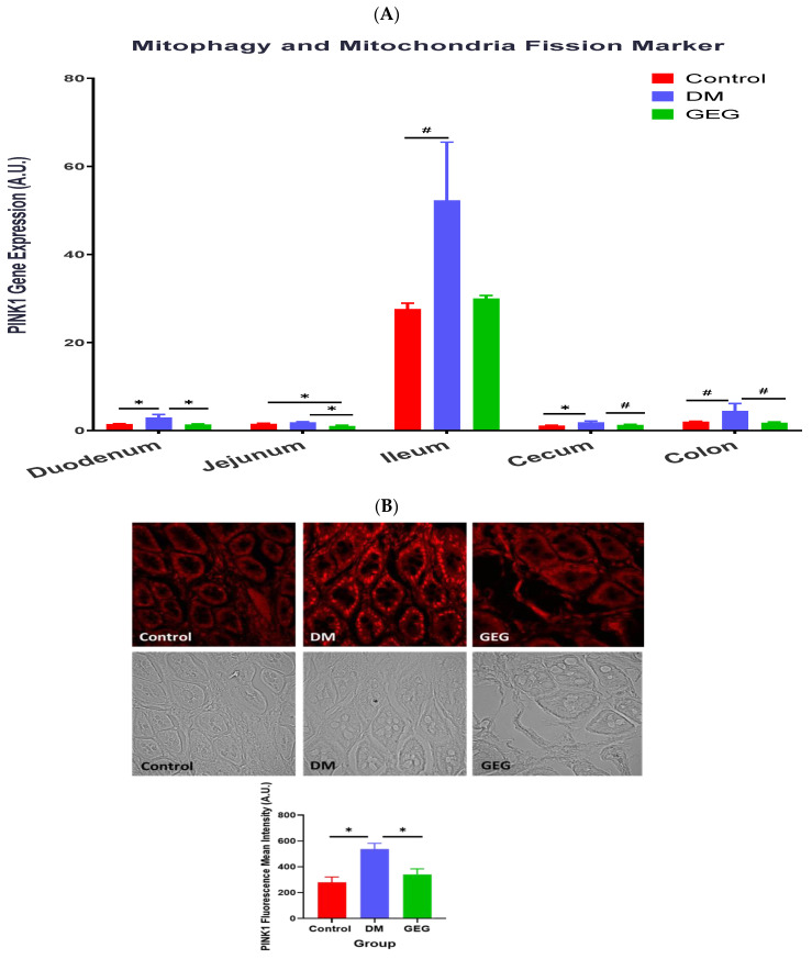 Figure 12