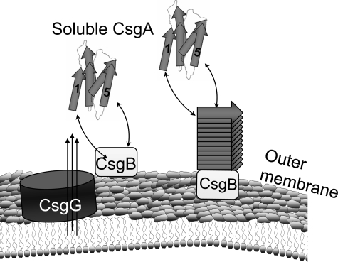 FIGURE 7.