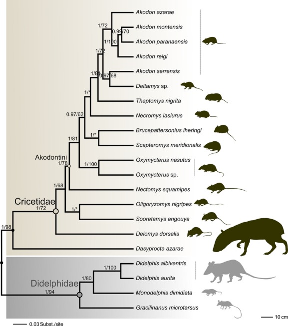 Figure 2