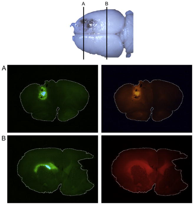 Fig. 2