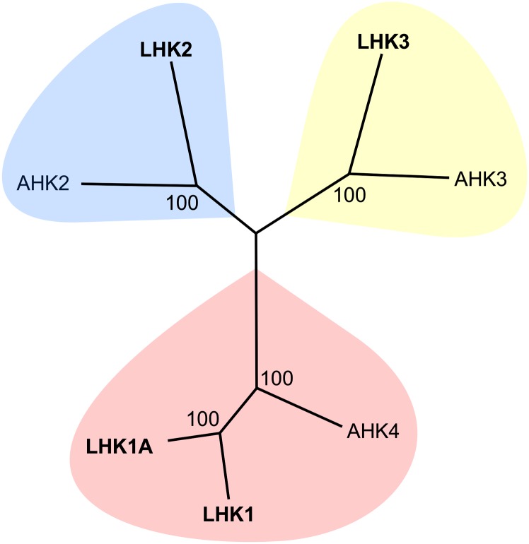 Figure 1.