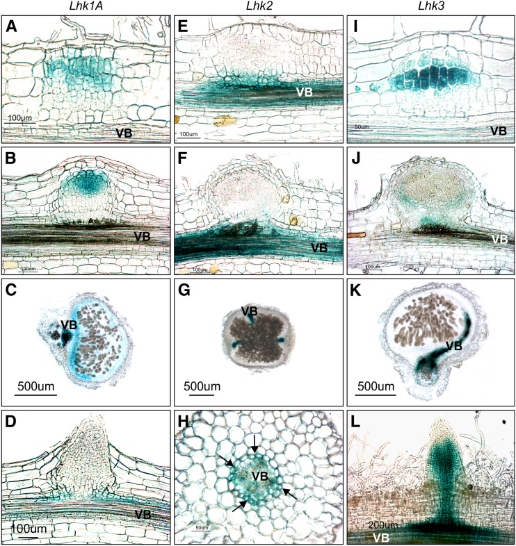 Figure 6.