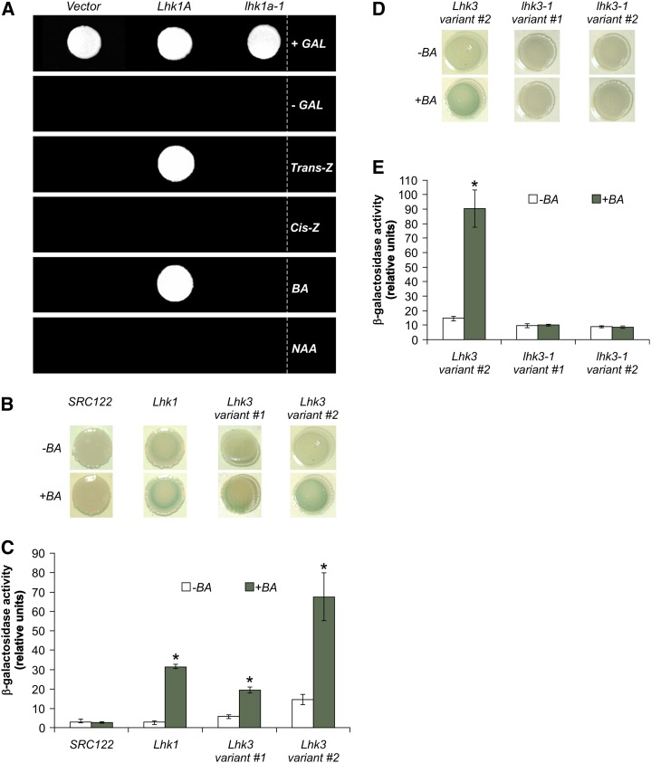 Figure 2.