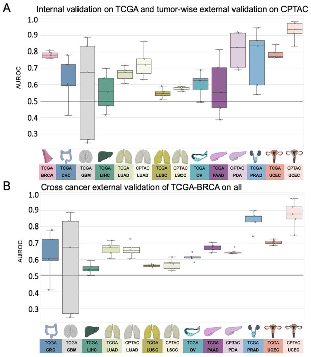 Figure 2: