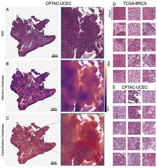 Figure 4: